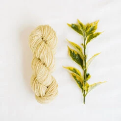 Handspun Hope Organic Merino Yarn(Handspun Hope Organic Merino Yarn) 29 Handspun Hope Organic Merino Yarn(Handspun Hope Organic Merino Yarn) -Woolery Shop 122888 source 1573585696