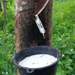 Saddle Seat Stool(Saddle Seat Stool) -Woolery Shop rubber tree tapping square 11105