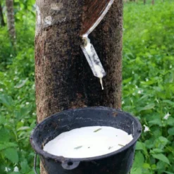 Saddle Seat Stool 8 Saddle Seat Stool -Woolery Shop rubber tree tapping square 11105.1543861201